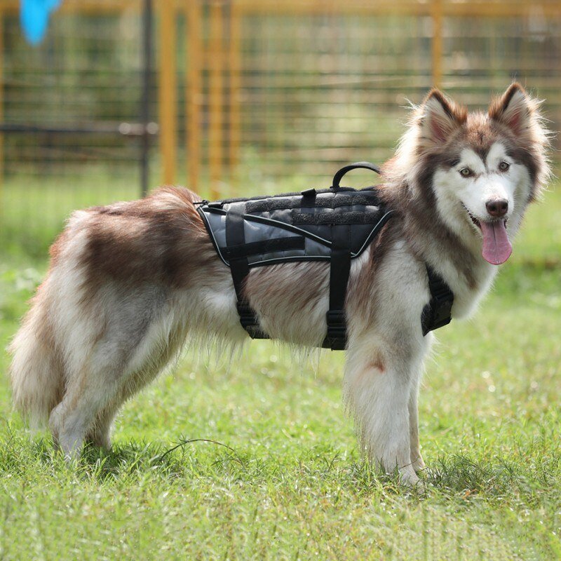 Durable Dog Harness Tactical Military Dog Vest No Pull Pet Training Harnesses Vest for Medium Large Dogs M L XL-4